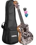 Cascha Art Series Konzert Ukulele Sketch