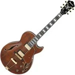 Ibanez AG95MG-DA Artcore Expressionist AG