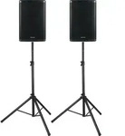 Pronomic C-215 MP 15" Passivbox Stativ Set