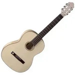 GEWA Pro Natura Silver 4/4