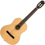 Ortega RST5M