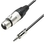Adam Hall K5 MYF 0300 XLR/3,5mm Klinkenkabel 3m