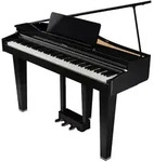 Roland GP-3 PE Digitalfl&uuml;gel