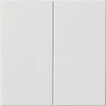 Gira 536203 System 3000 Bedienaufsatz, 2fach, System 55, reinwei&szlig; gl&auml;nzend
