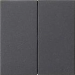 Gira 537028 Wippe 2fach unbedruckt System 55, Anthrazit