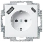 Busch-Jaeger 20 EUCB2USBAC-914 SCHUKO&reg; USB-Steckdose, A/C Busch-balance&reg; SI,