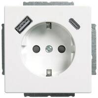 Busch-Jaeger 20 EUCB2USBAC-84 SCHUKO&reg; USB-Steckdose, A/C future&reg; linear,