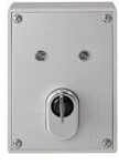 ABUS SE1010 Schl&uuml;sselschalter inkl. ABUS Qualit&auml;tszylinder