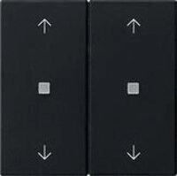 Gira 5386005 Wippe 2fach mit Pfeilsymbolen und Kontrollfenster System 55,...