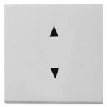 Gira 8616015 Wippe Pfeilsymbole System 55, Grau matt