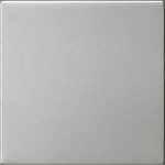 Gira 5372600 Wippe 1fach unbedruckt System 55, Edelstahl