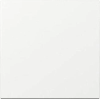 Gira 329603 Wippe, gerade, 1fach, System 55, reinwei&szlig; gl&auml;nzend (lackiert)