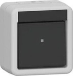 Gira 310230 Wippschalter, 10 AX, 250 V~, Ausschalter, 2-polig, IP44, grau