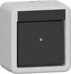 Gira 310530 Wippschalter, 10 AX, 250 V~, Kreuzschalter, IP44, grau