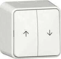 Gira 315913 Wipp-Jalousieschalter 10 AX, 250 V~, mit Pfeilsymbolen und Montageplatte,