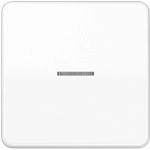 Jung HOME Serie CD Taster, 1fach, Duroplast, alpinwei&szlig; (BTCD17101WW)
