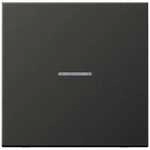 Jung FMAL1700AN eNet Funk-Steuertaste Standard, anthrazit (lackiertes Aluminium)