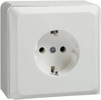 Elso 505414 Steckdose im Ger&auml;tetr&auml;ger 1-fach 16A, Renovierung Steckklemme,