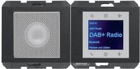 Berker 30807006 Radio Touch mit LS DAB+ BT K.x, Anthrazit