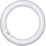 LEDVANCE L 40W/840C Ringform R&ouml;hre, 40W, 2900lm, 4000K (L 40W/840 C)