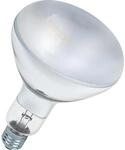 LEDVANCE ULTRA VITALUX 300 W 230 V E27, 300W (U VITALX 300W E)
