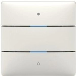 Theben iON 102 KNX Tastsensor 2 Tasten, 2 LEDs, integrierter Temperatursensor,...