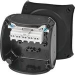 Hensel KX 0202 C Ex Kabelabzweigkasten f&uuml;r explosionsgef&auml;hrdete Bereiche,...