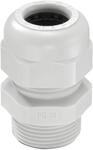 Wiska SKV 21 LG Kabelverschraubung, PG21, Kunststoff, lichtgrau (10066405)