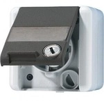 Jung 820NAWSL SCHUKO Steckdose, 16 A, 250 V ~, mit Klappdeckel, Schriftfeld und