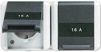 Jung 8220NAW SCHUKO Zweifach-Steckdose, 16 A, 250 V ~, waagerecht