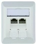 TELEG&Auml;RTNER CAT6A Anschlussdose AP 2-fach RJ-45 500Mhz (100023002)
