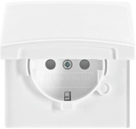 Busch-Jaeger 20 EUGKB-34-101 SCHUKO Steckdosen-Einsatz mit Klappdeckel, Allwetter