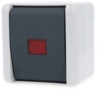 JUNG 806KOW Wipp-Kontrollschalter 10 AX 250 V ~