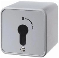 Berker 4466 Schl&uuml;sselschalter, Aufputz, f&uuml;r Profil-Halbzylinder, Druckguss IP44