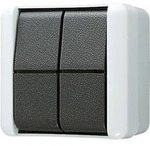 JUNG 839W Doppel-Taster 10 AX 250 V ~