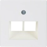 Berker 146909 Zentralplatte UAE Steckdose, 2fach, Zentralplattensystem, Arsys,