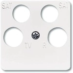 Busch-Jaeger 1743/10-04-214 Zentralscheibe, Reflex Si, 50 x 50 mm, alpinwei&szlig;