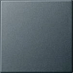Gira 029628 Wippe, System 55, anthrazit