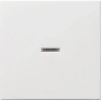 Gira 029003 Wippe mit Kontrollfenster, System 55, reinwei&szlig; gl&auml;nzend