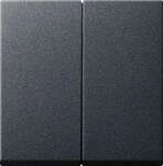 Gira 029528 Wippe, 2fach, System 55, anthrazit