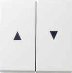 Gira 029427 Wippe, 2fach, mit Pfeilsymbol, System 55, reinwei&szlig; seidenmatt