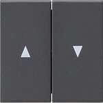 Gira 029428 Wippe, 2fach, mit Pfeilsymbol, System 55, anthrazit