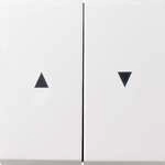 Gira 0294112 Wippen, 2fach, mit Pfeilsymbol, System Fl&auml;chenschalter, reinwei&szlig;