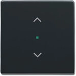 Busch-Jaeger 6232-10-81 Wippe 1-fach, mit Symbol Jalousie, passend zu future...