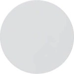 Berker 16202089 Wippe R.1/R.3, polarwei&szlig; gl&auml;nzend