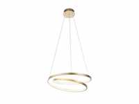 Paul Neuhaus LED-Pendelleuchte, gold, geschwungener Leuchtring, Dimmfunktion, modern,