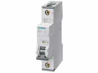 Siemens 5SY61027 Sicherungsautomat, 1-polig, C-Charakteristik, 2A