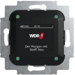 Busch-Jaeger 8215 U-101 Busch-Radio DAB+ (2CKA008200A0275)