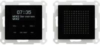 Merten MEG4375-0303 DAB+ Radio Set mit Bluetooth inklusive Lautsprecher f&uuml;r System