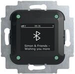 Busch-Jaeger 8217 U-101 Busch-Radio BTconnect DAB+. Bluetooth (2CKA008200A0278)